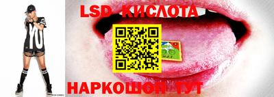 гидропоника Кандалакша