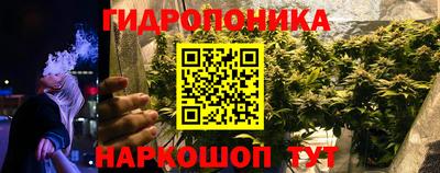 МДПВ Канаш